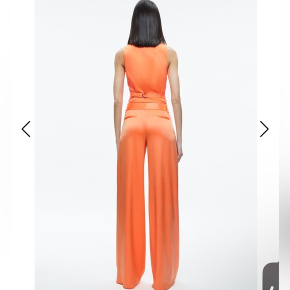 Alice + Olivia Satin Orange Wide Leg Pant - Sold Out - Picture 5 of 17